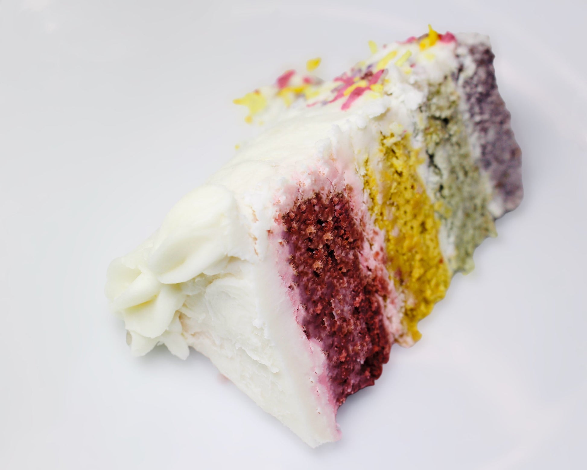 Rainbow dog birthday barkday cake - 5