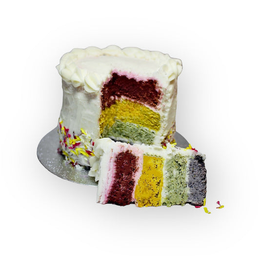 Rainbow dog birthday barkday cake - 16