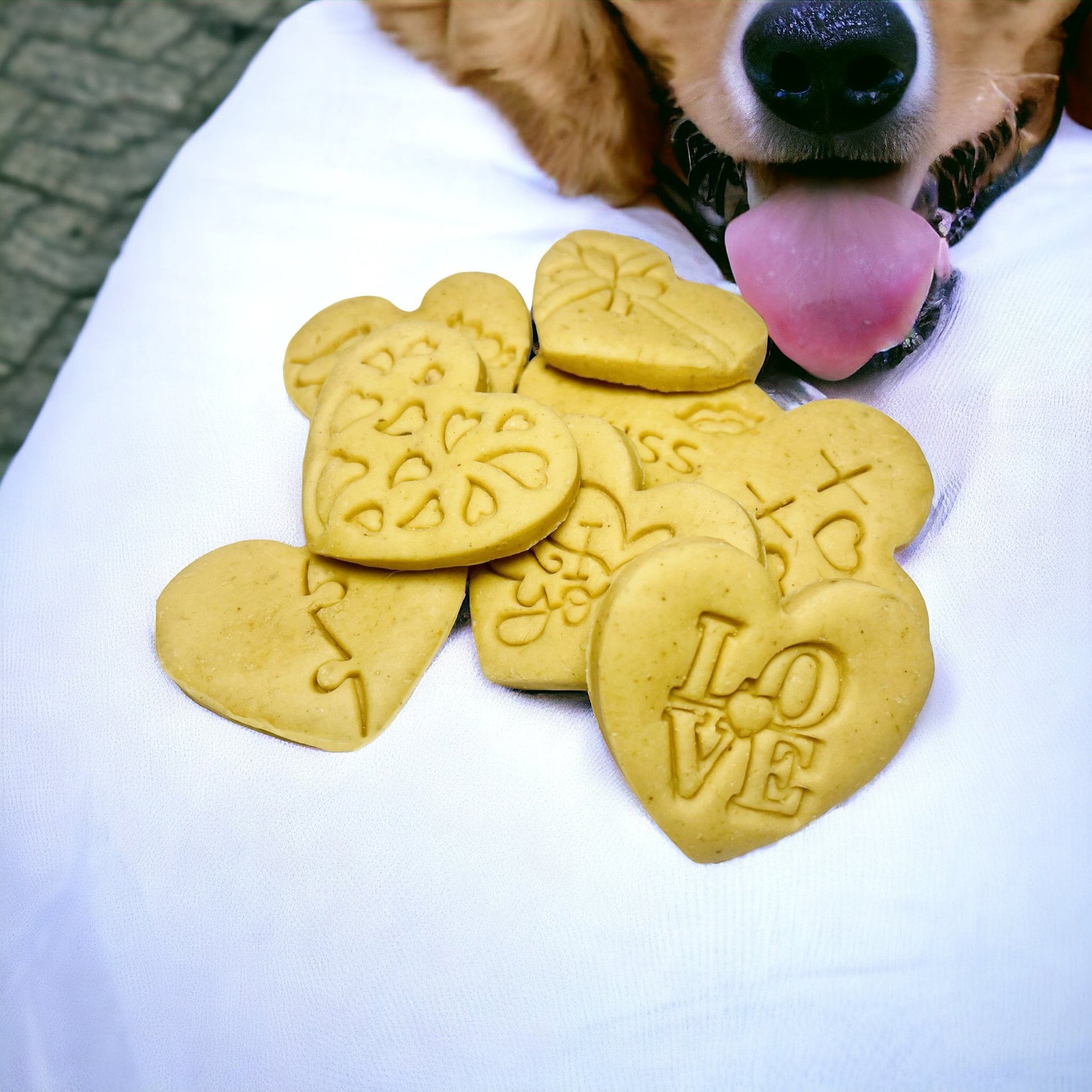 I woof you dog biscuit wedding treats - 4